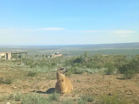 VENTA LOTE LA CRUCESITA MENDOZA