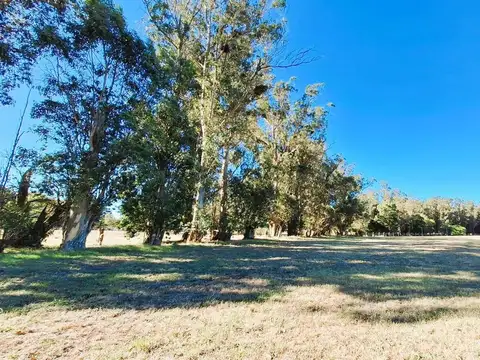 Venta terreno lote en barrio privado Haras del Mar