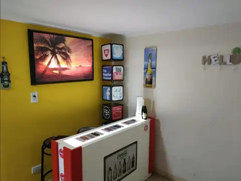 Chingolo