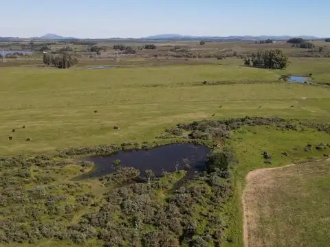 Quinta en Venta en Punta del Este, USD 1.628.000