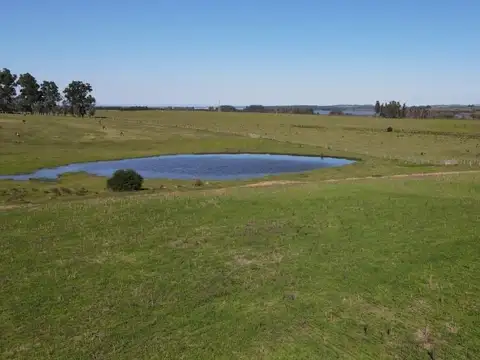 Quinta - Venta - Uruguay, Maldonado