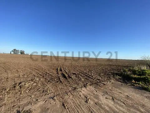 ruta provincial 14 100, Piso 0