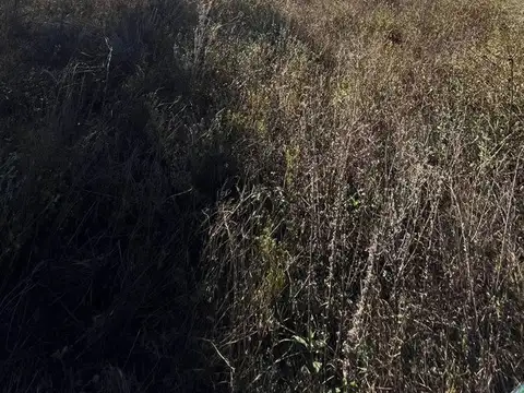 VENTA LOTE VILLA DEL CONDOR 2000 M2 EXC VISTAS!