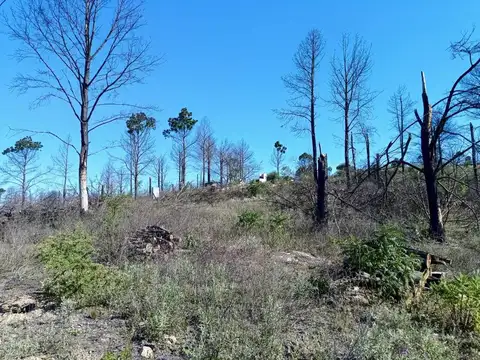 LOTE 196 MANZANA 6 100