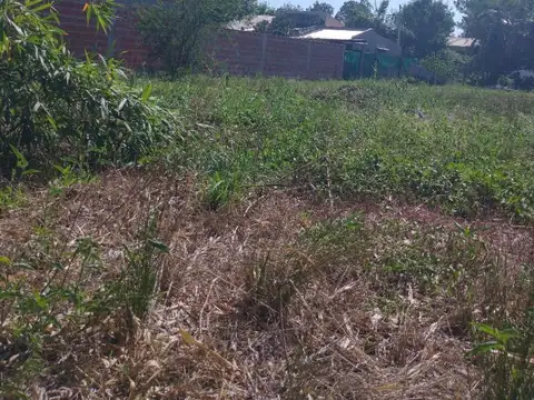Terreno en Venta, Villa Zorraquin