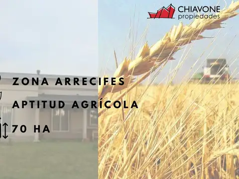 Estancia productiva c/casco de categoría, 70 ha -Arrecifes.