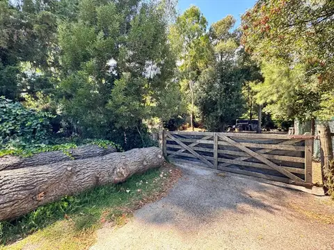 Don Arturo y los calchaquies