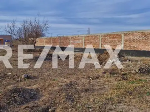 VENTA LOTE  FERNANDEZ ORO