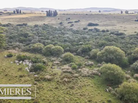 Venta de campo 29 ha con casa en Paso Dutra Maldonado