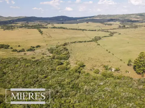 Venta de campo 29 ha con casa en Paso Dutra Maldonado