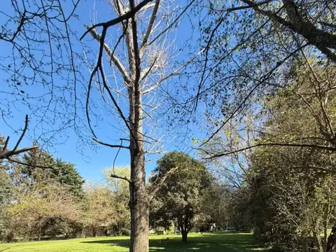 Quinta en Venta en Capilla del Señor, USD 75.000