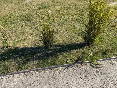 Terreno en Venta en Mar Del Plata, USD 50.000