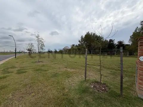LOTE EN VENTA – NATIVAS – PUERTOS DEL LAGO