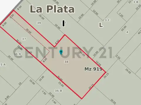 VENTA 2 LOTES JUNTOS, LA PLATA - AV 51 18 Y 19 APTO DESARROLLO.
