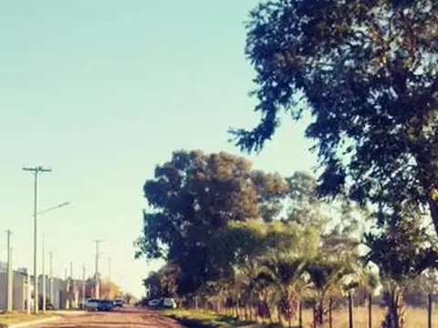 Terreno en Venta 50  mts Fondo