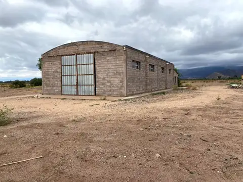 SE VENDE CAMPO EN TINOGASTA 388 Has CHALET, GALPON