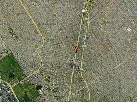 Departamento en Alquiler Permite mascota