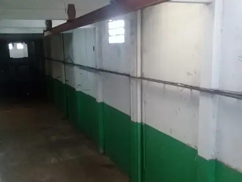 Galpon en Alquiler 50  mts Fondo