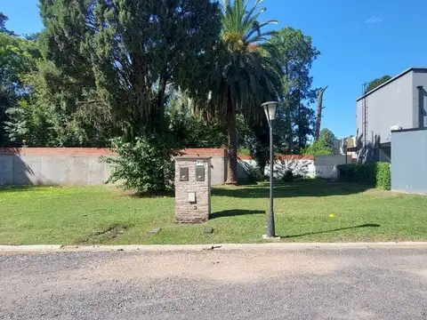 Mario Bravo 300
