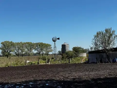 VENTA CAMPO MARCOS PAZ 82HA 
