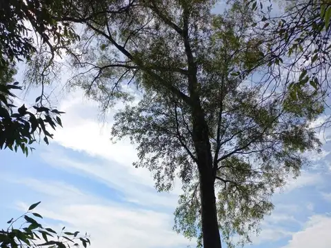 Santa Elena - Pilar del Este 100
