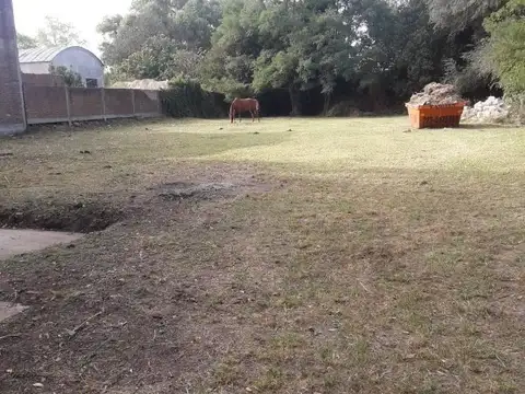 Celedonio Flores y Alfredo Lepera