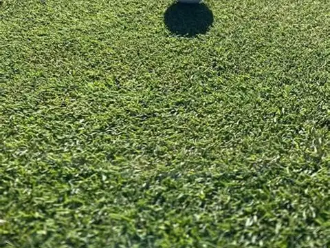 Terreno en Venta de 1261,0 m2