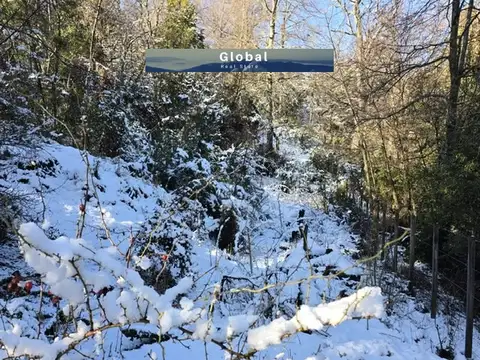 FRACCIÓN DE 7 Has SAN MARTÍN DE LOS ANDES, PATAGONIA ARGENTINA 100