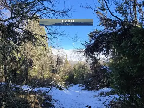 FRACCIÓN DE 7 Has SAN MARTÍN DE LOS ANDES, PATAGONIA ARGENTINA 100