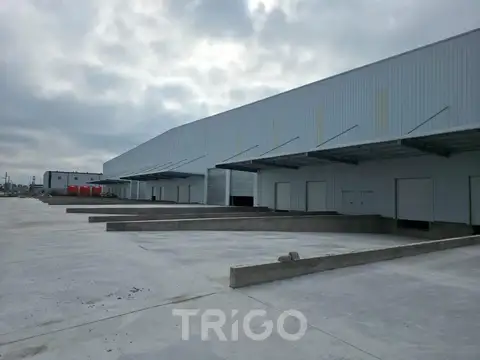 Colectora Autopista Ezeiza Cañuelas predio seguridad 24hs