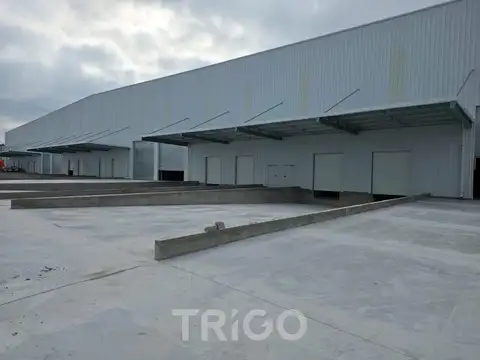 Colectora Autopista Ezeiza Cañuelas predio seguridad 24hs