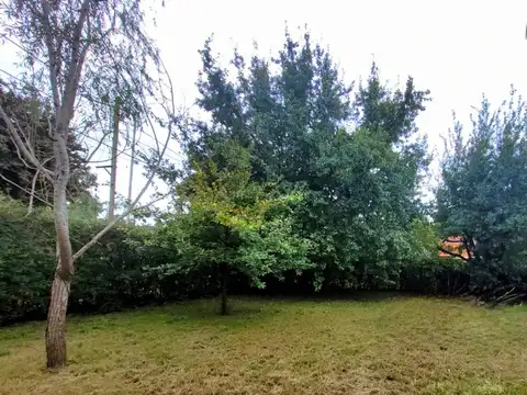 Fray Luis de Leon 900