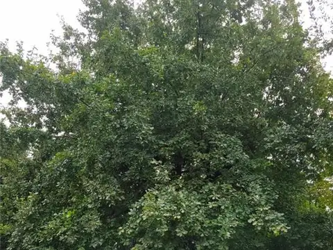 Terreno en Venta de 318,0 m2