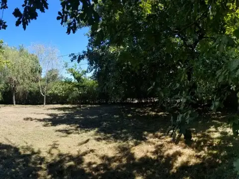 Fray Luis de Leon 900