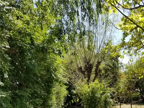 Terreno en Venta 26,91  mts Fondo