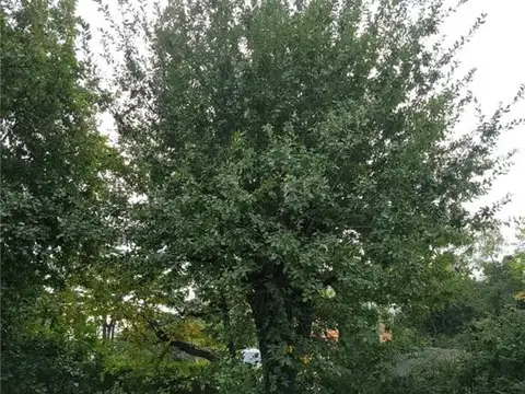 TERRENOS/FRACCIONES/LOTEOS - TERRENOS - DEL VISO, GRAN BS. AS. NOROESTE