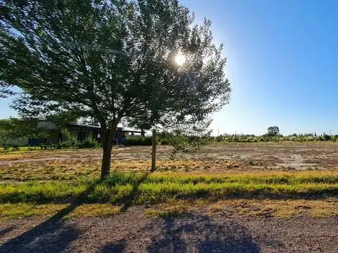 Terreno en Venta de 1538,0 m2