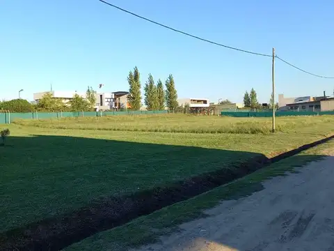 Terreno en Venta 14  mts Frente