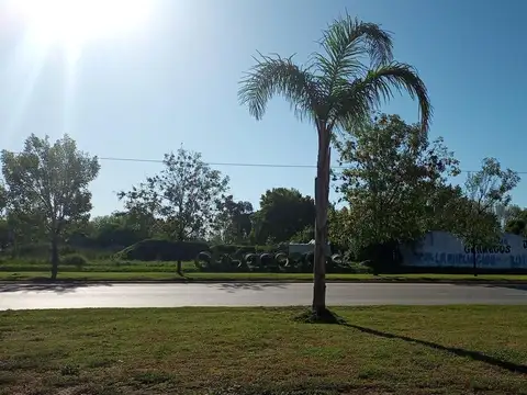 Terreno en Venta en Tristan Suarez, USD 220.000