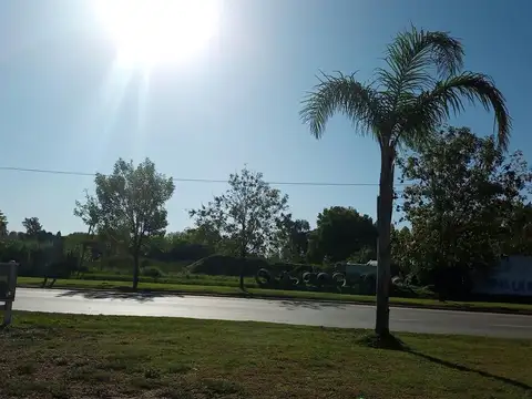 av, Nestor Kirchner 5200, Tristan Suarez