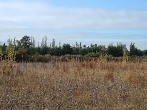 Terreno 500m2 en Venta en Corralitos, Mendoza