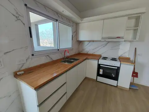 Honorio Pueyrredon al 1900