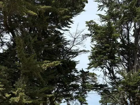 LOTE EN BARRANCAS DE SAN BENITO