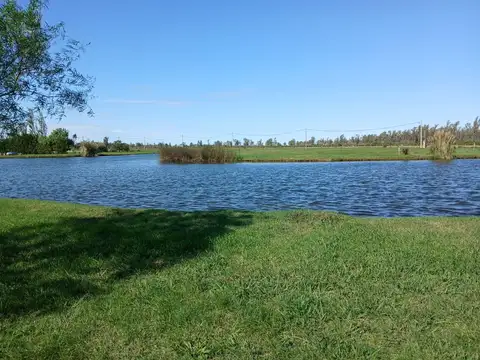 Terreno en Venta 45  mts Frente