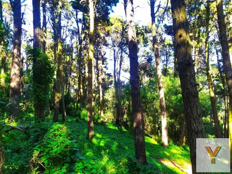Terreno en Venta en Mar de las Pampas, USD 42.000