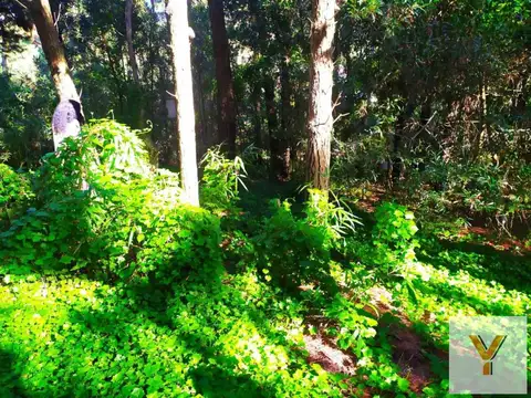 Terreno en Venta de 450,0 m2