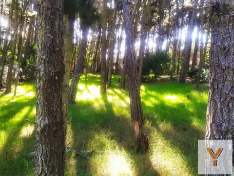 Terreno en Venta en Mar de las Pampas, Partido de Villa Gesell