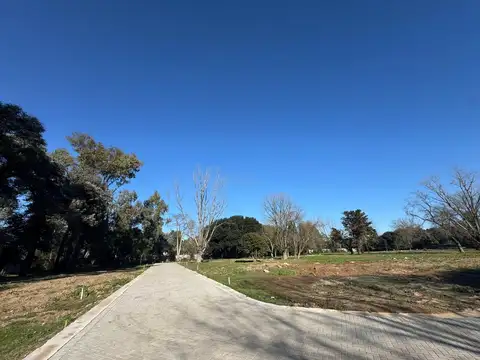 Terreno en Venta de 250,0 m2