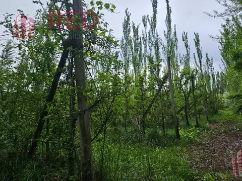 Terreno en Vista Alegre Sur