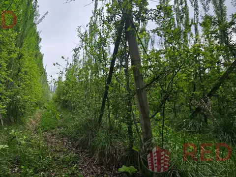Terreno en Venta en Vista Alegre Sur, USD 70.000